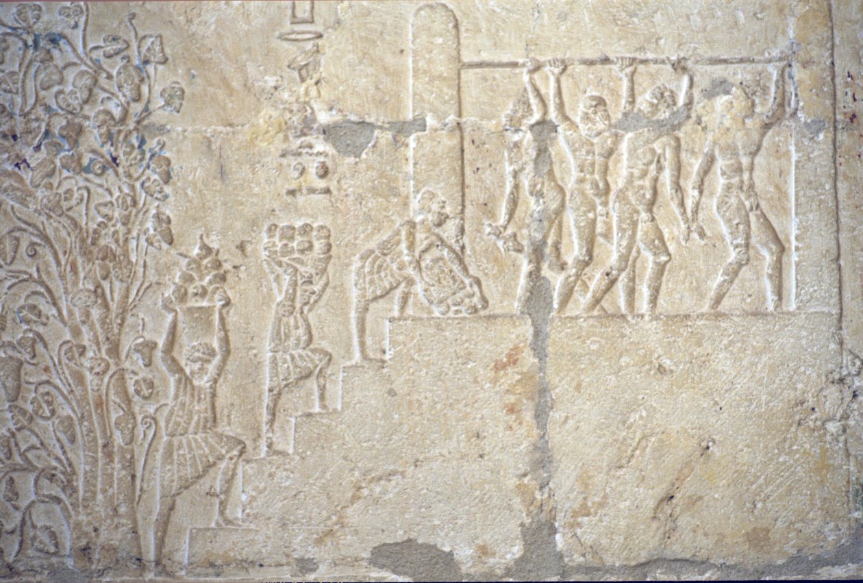 Égypte ancienne, peinture murale, Tombe de Petosiris, Tuna el-Gebel, 300 av. J.-C., Récolte du vin, Fabrication du vin, Presse à vin - School Egyptian
