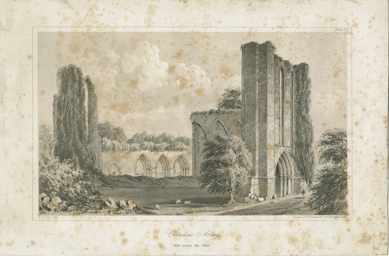 Abbaye de Croxden : lithographie - School English