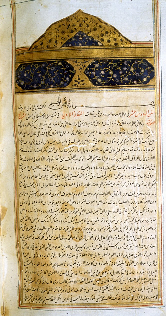 Page du Canon de la Médecine (al-Qānūn fī aṭ-Ṭibb) par Avicenne - School Iranian