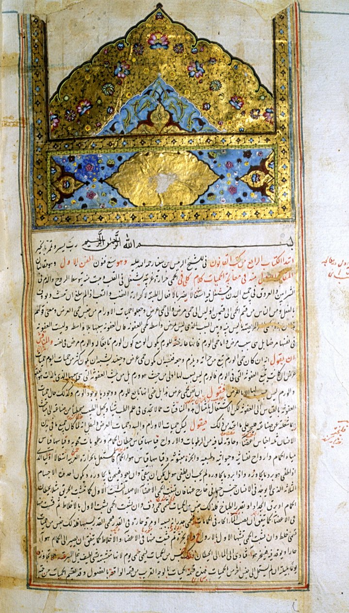 Page du Canon de la Médecine (al-Qānūn fī aṭ-Ṭibb) par Avicenne - School Iranian
