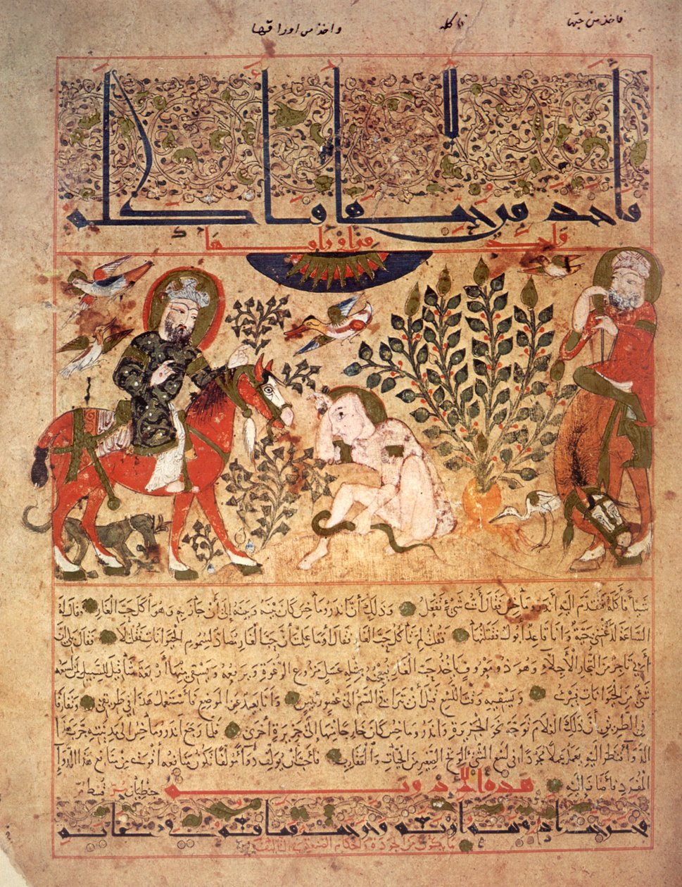 Un homme est piqué par un serpent, Illustration du 