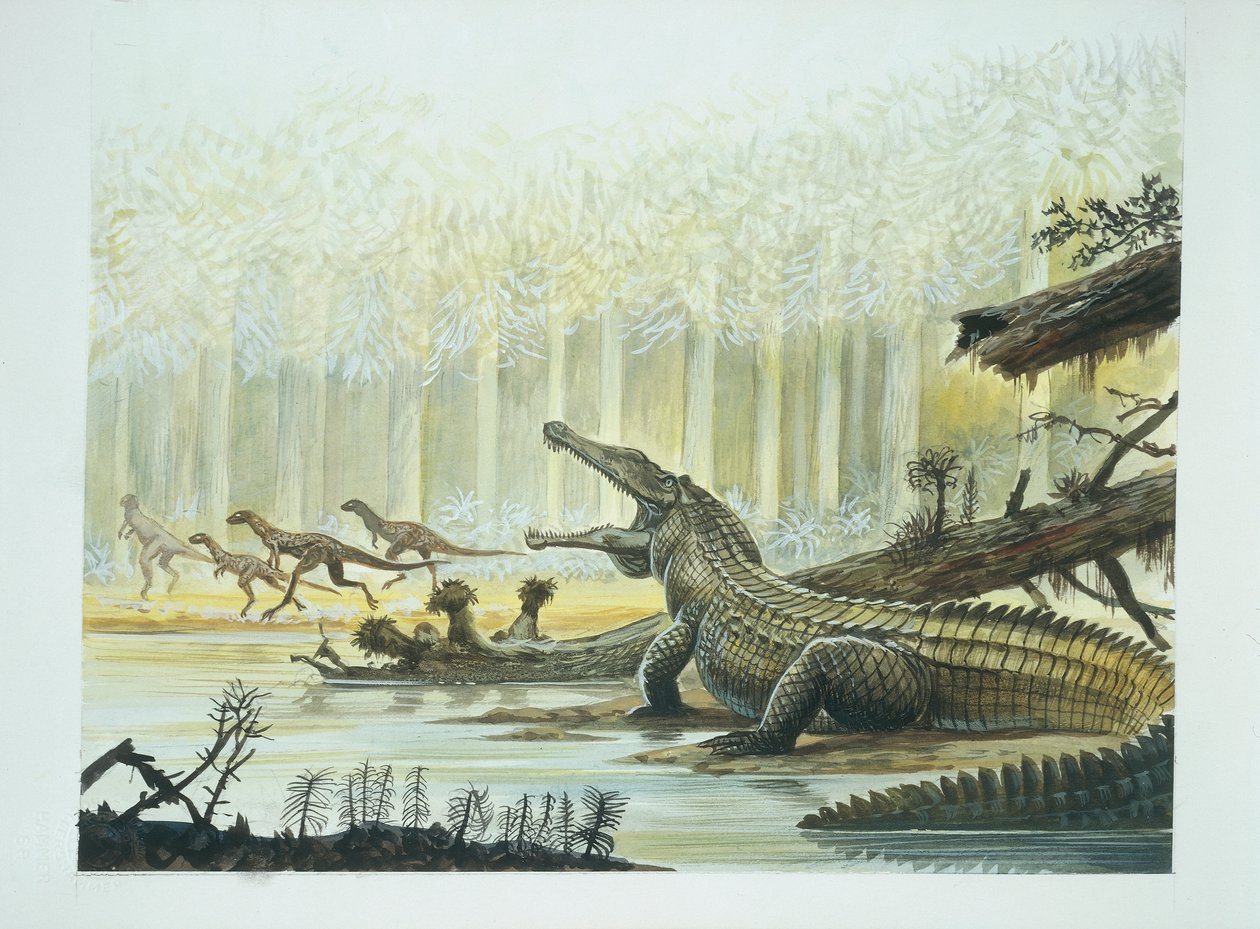 Rutiodon avec Fabrosaurus en arrière-plan, période Triassique - School Italian
