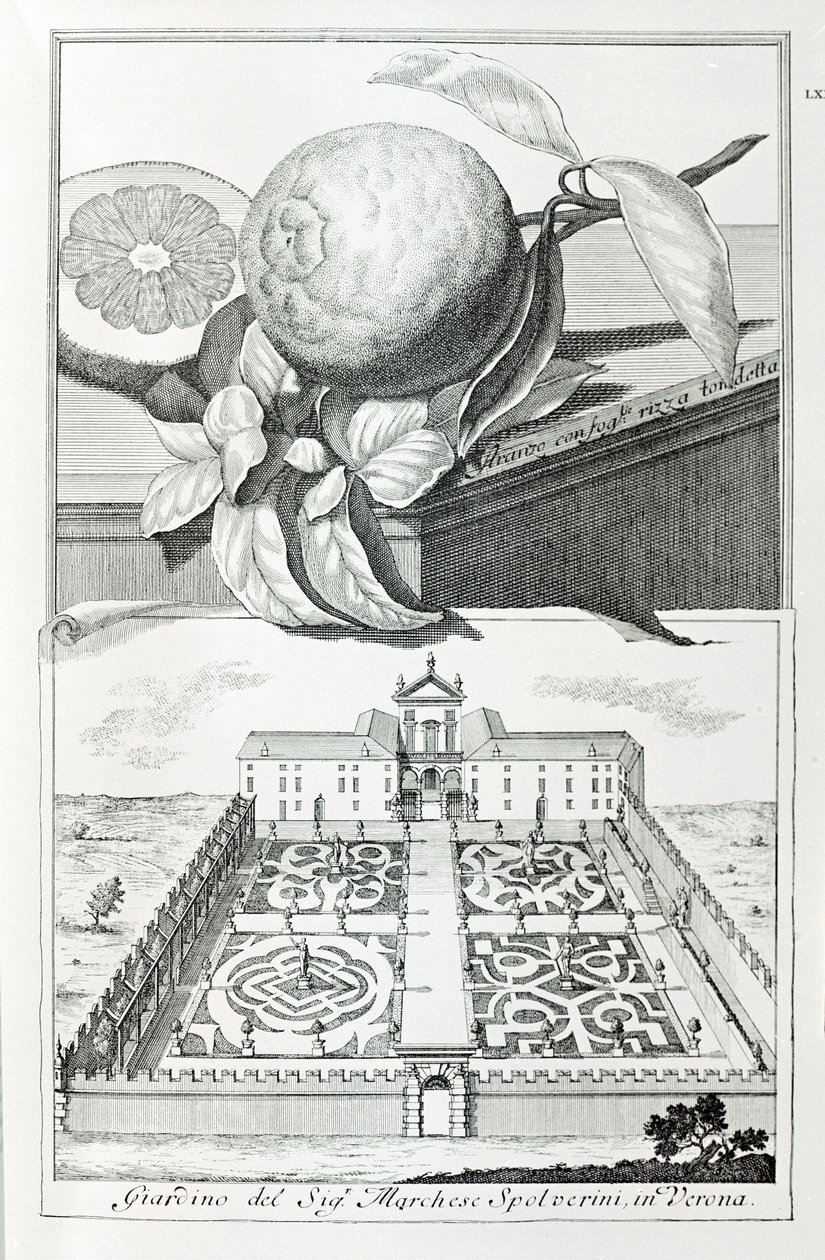 Villa du Marquis Spolverini de Vérone, de "Villas, Jardins et Paysages à Venise" par A. Volkamer - School Italian