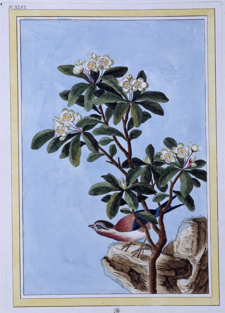 Oiseau - Estampe japonaise - Japanese School