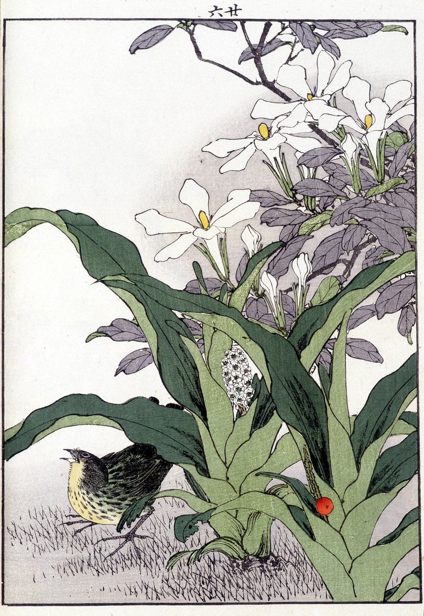 Oiseau dans les fleurs - Estampe japonaise - Japanese School