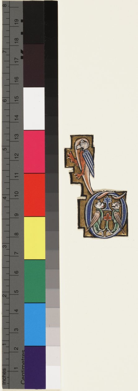 Initiale D, d'un psautier-heures, c.1270 | School Mosan