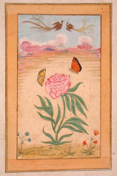 Plantes à fleurs avec oiseaux de paradis et papillons, du Petit Album Clive - School Mughal
