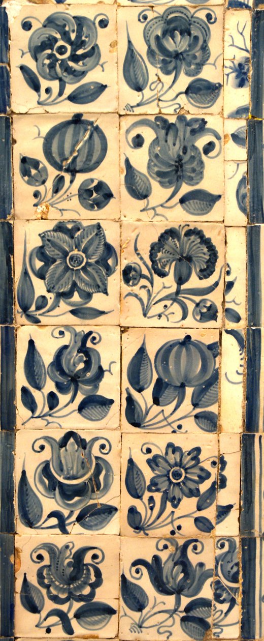 Panneau représentant diverses espèces de fleurs, Tarouca, Portugal - School Portuguese