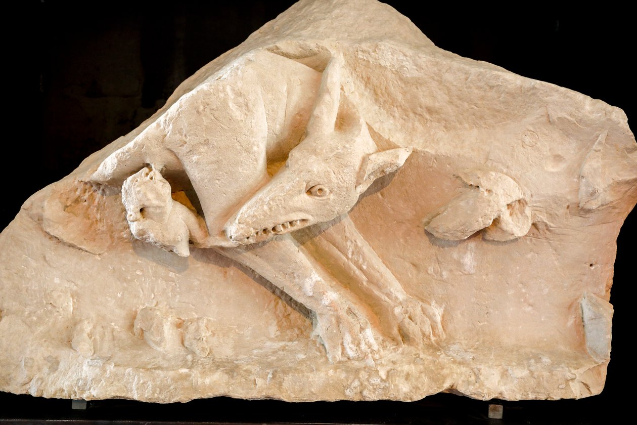 La Louve et les jumeaux Romulus et Remus - School Roman