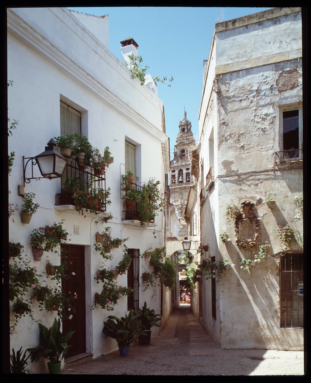Vue du minaret (clocher) de la Grande Mosquée des Omeyyades, maintenant cathédrale, depuis la Calle de los flores, Cordoue, Espagne - School Spanish
