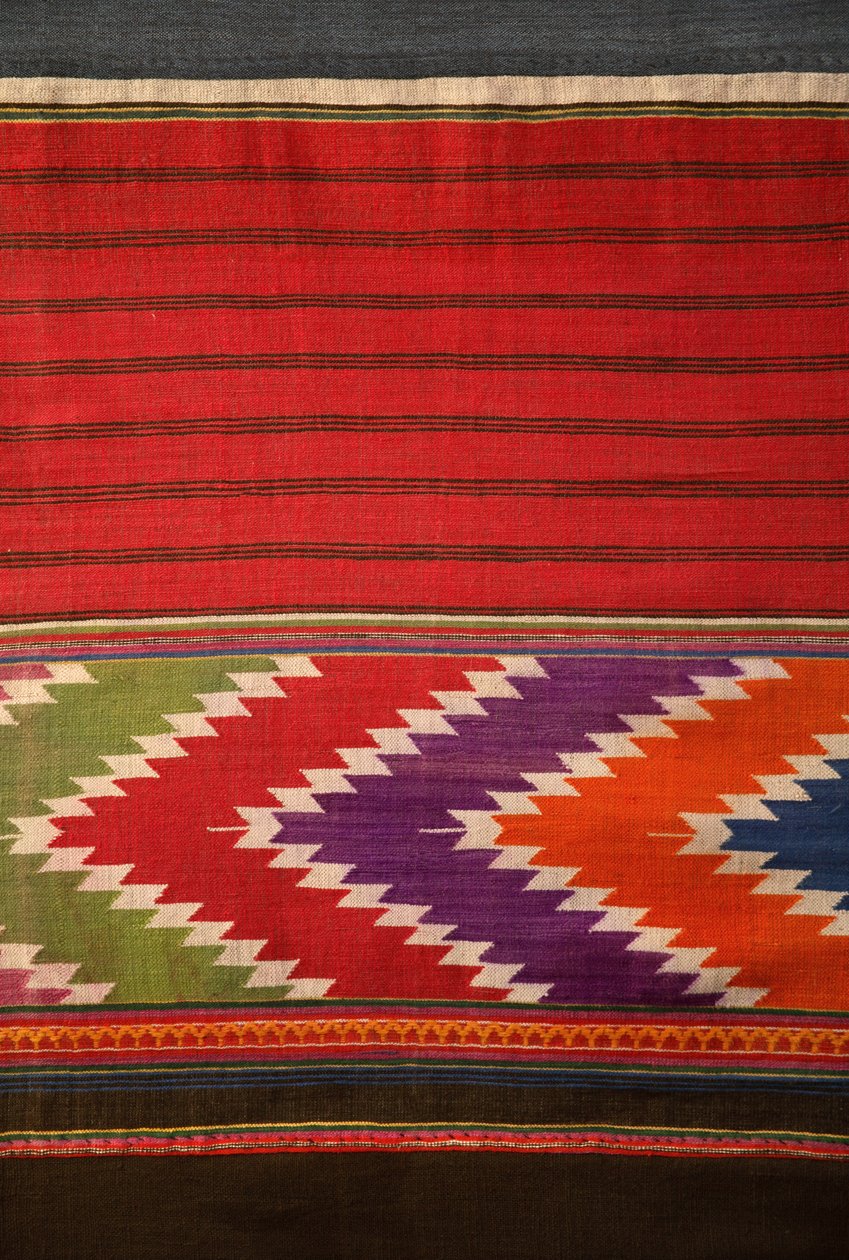 Détail de tissu Tai Lu - School Thai