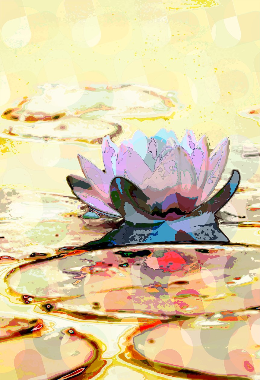 Nénuphar - Scott J. Davis