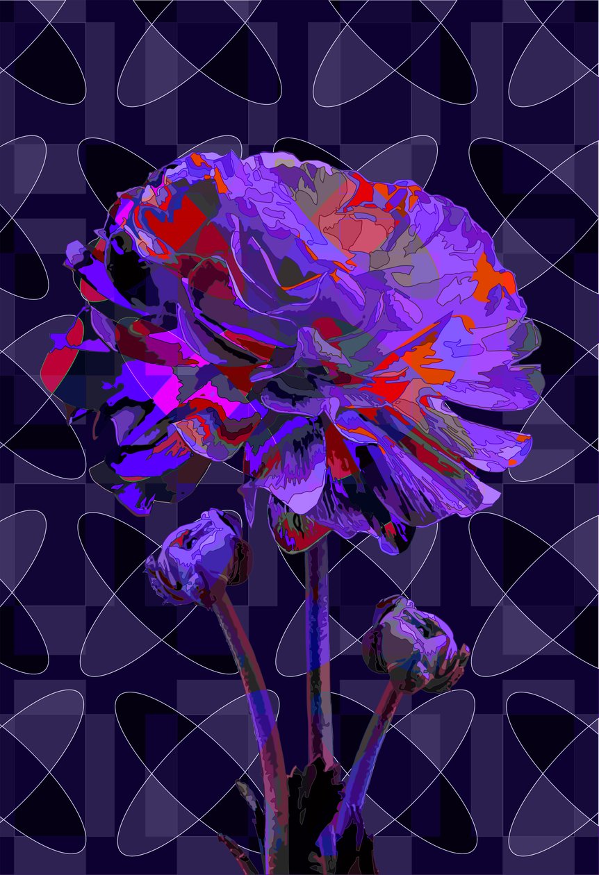 Œillet, 2019 - Scott J. Davis