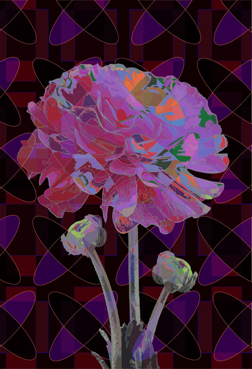Œillet, 2019 - Scott J. Davis