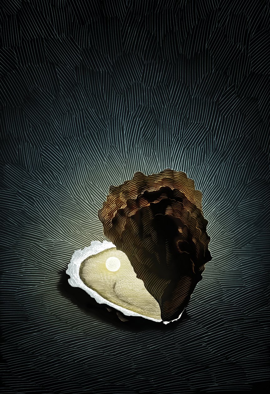 Huître perlière, 2008 (planche à gratter, colorisée numériquement) - Scott McKowen