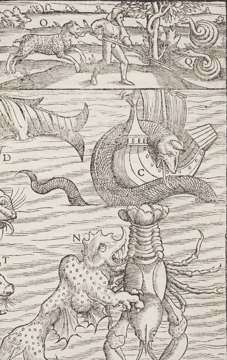 Cosmographia, Fol 853, 1544 - Sebastian Munster