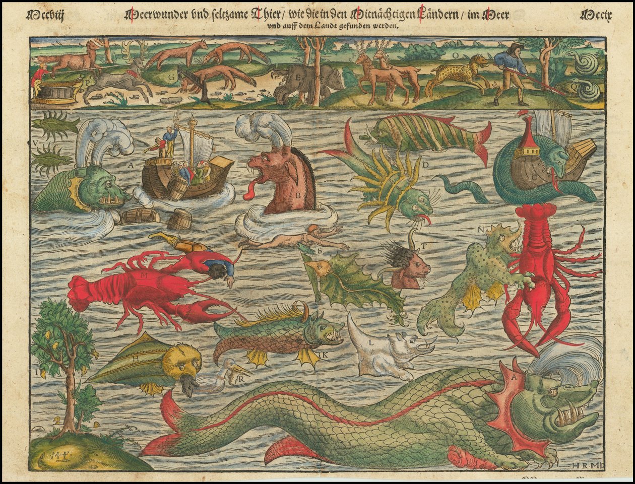 Merveilles marines et animaux étranges, tels qu