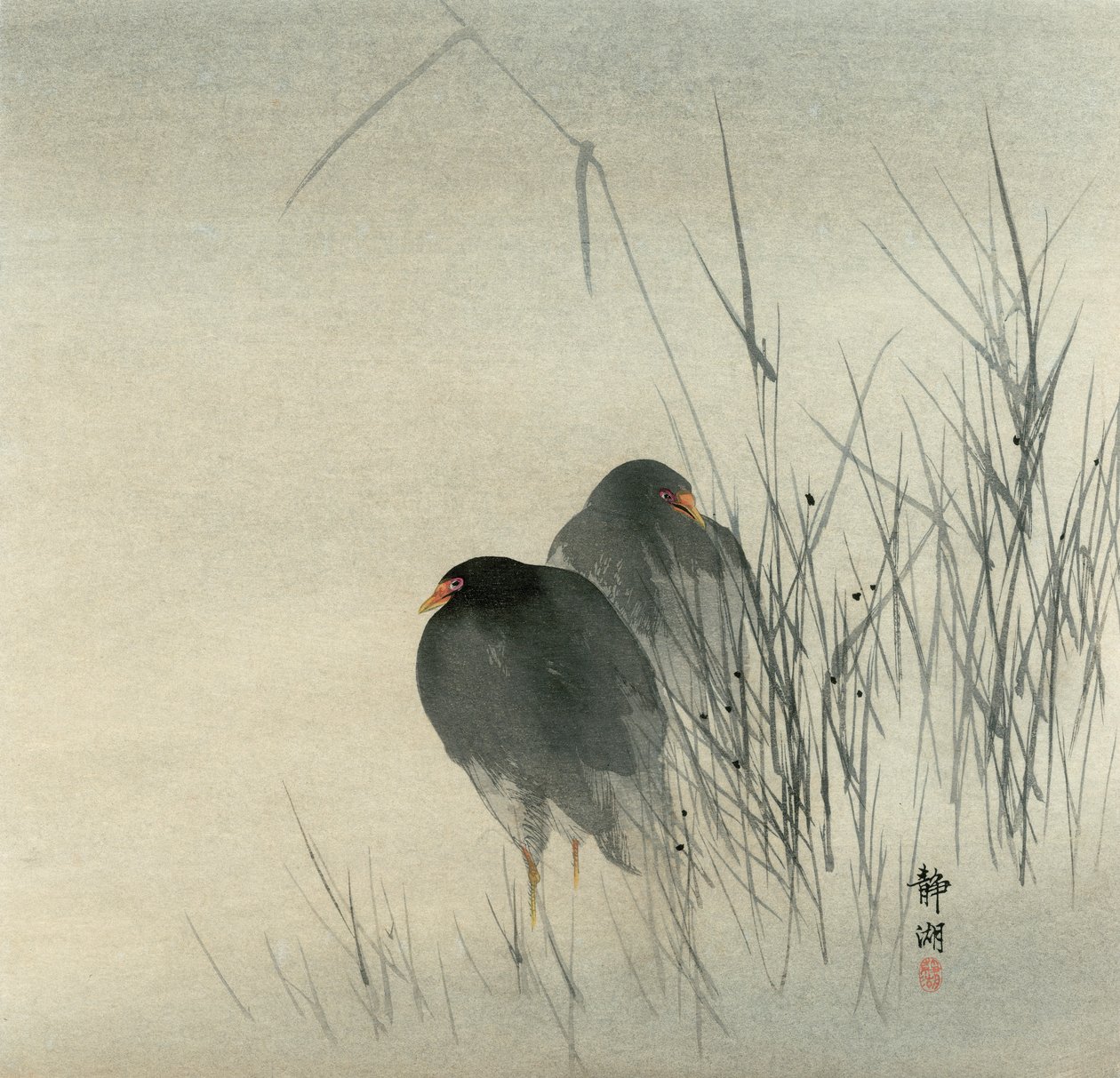 Deux poules d