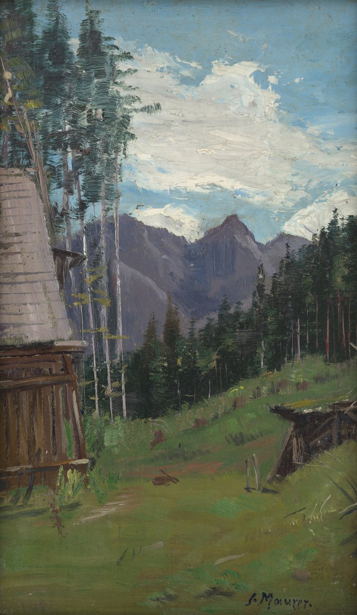 Vue sur les montagnes près de Radmer en Haute-Styrie - Serafin Maurer
