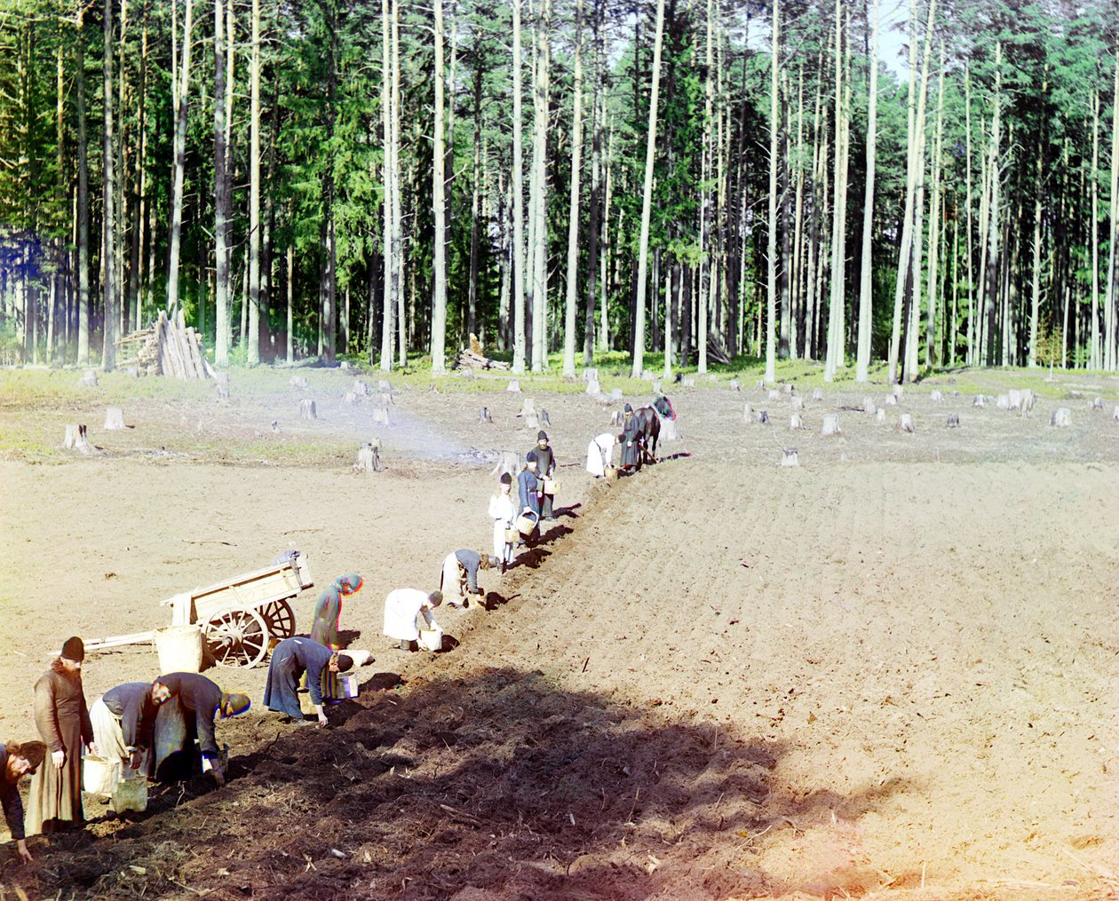 Moines plantant des pommes de terre près du monastère de Gethsémani, rivière Volga, Empire russe, 1910 - Sergey Prokudin Gorsky