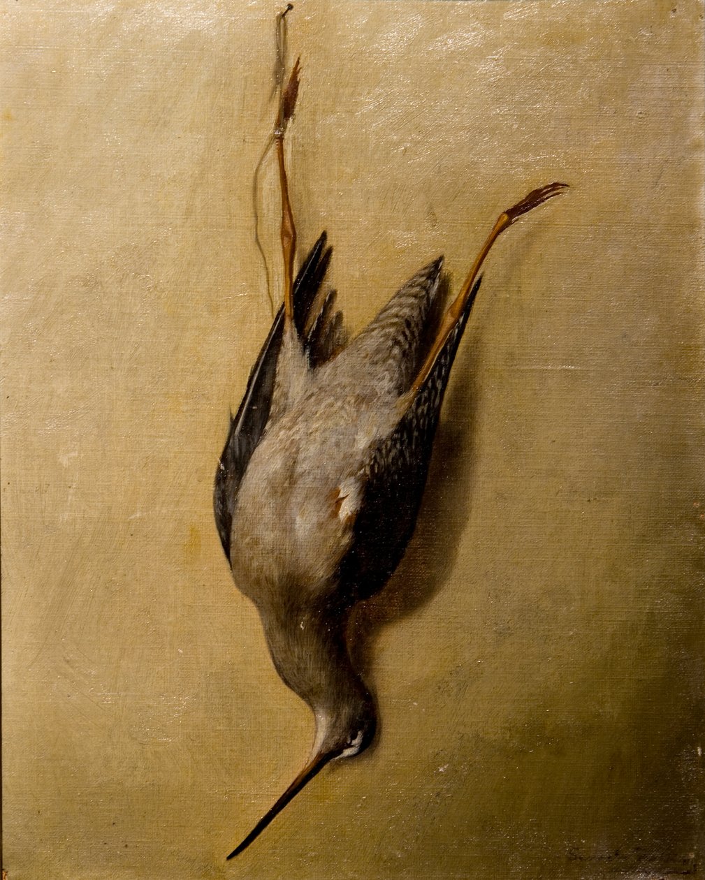 Nature morte - Severin Falkman