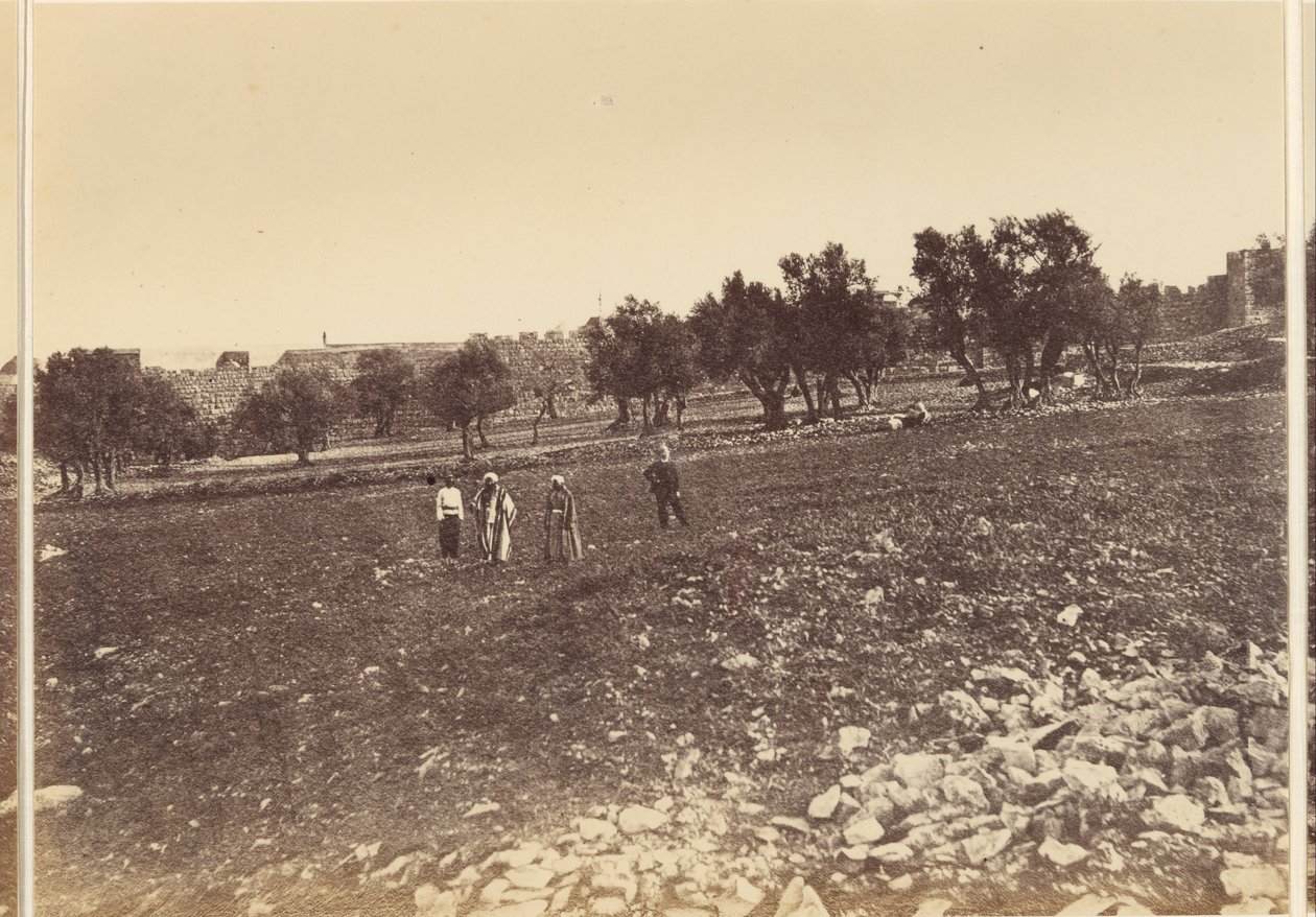 Vue générale de la ville, etc. du nord - Sgt. James M. McDonald