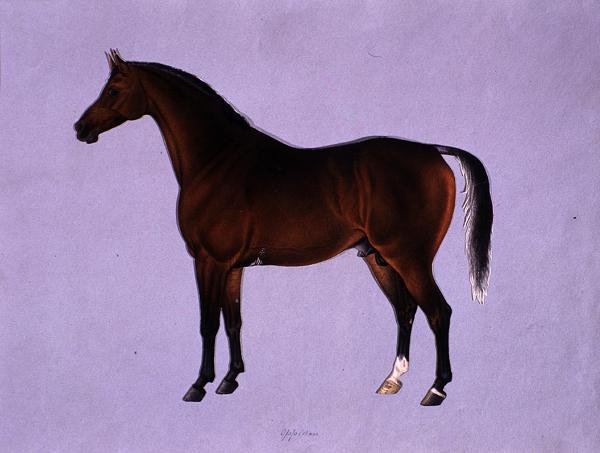 Oppidan, vers 1840 - Shaik Muhammad Amir of Karraya