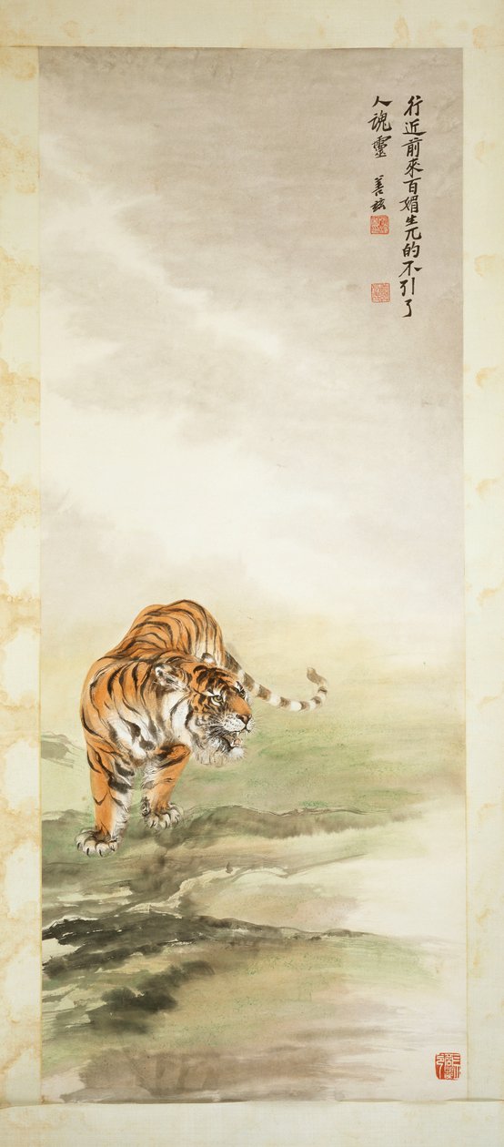 Tigre - Shanzi Zhang