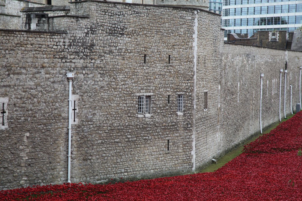 Terres et mers de sang balayées par le vent, Tour de Londres, 2014 - Sheldon Marshall