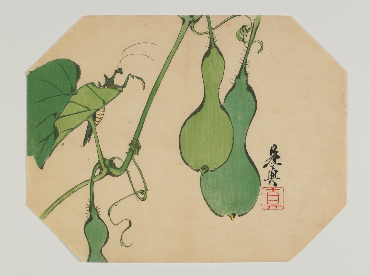Impression pour un uchiwa, gourdes sur une vigne avec une mante religieuse, époque Meiji, fin du 19ème siècle - Shibata Zeshin