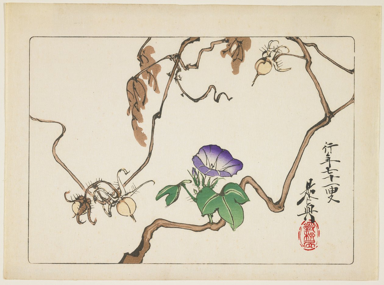 Vigne et graines de liseron, 1877 - Shibata Zeshin
