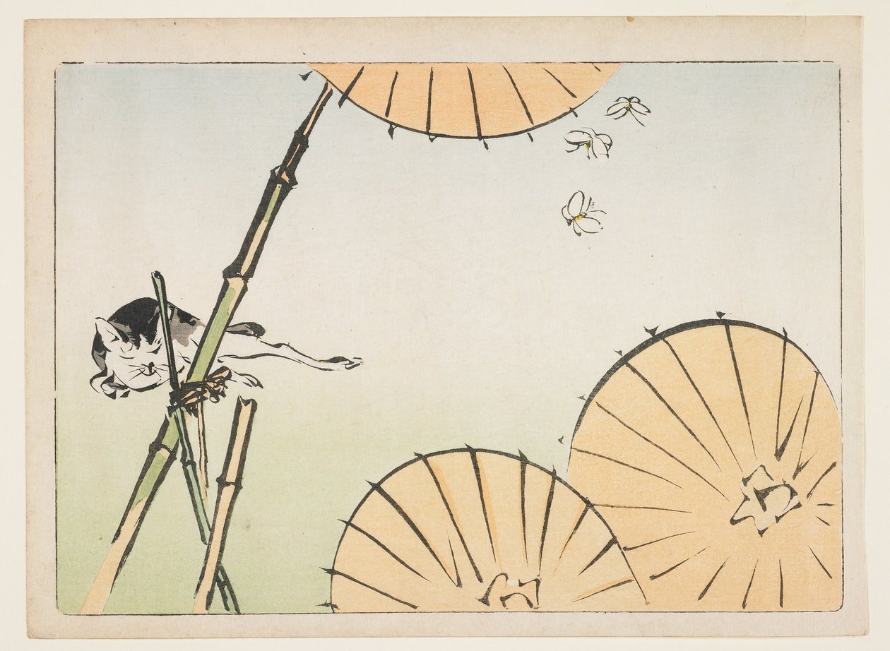 Bambou, parapluies, un chat et papillons - Shibata Zeshin