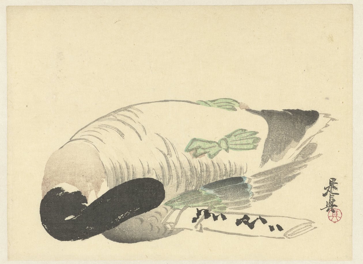 Canard mort à côté d