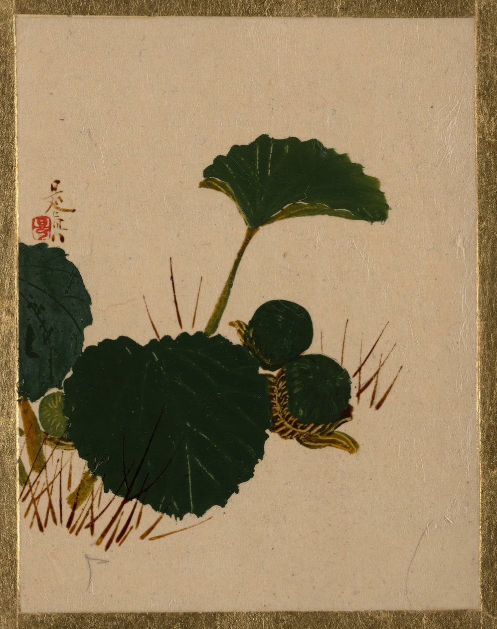 Ver sur plante à feuilles vertes - Shibata Zeshin