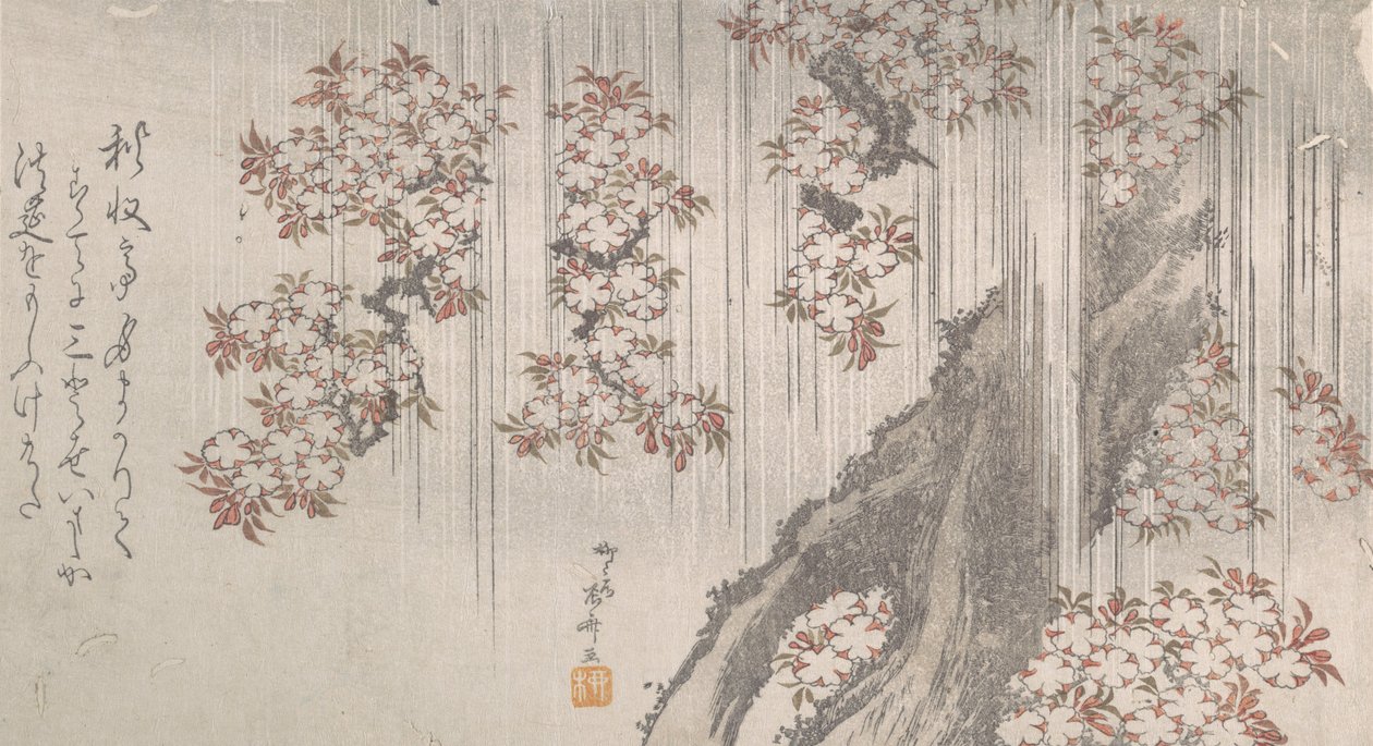 Fleurs de cerisier sous la pluie - Shinsai