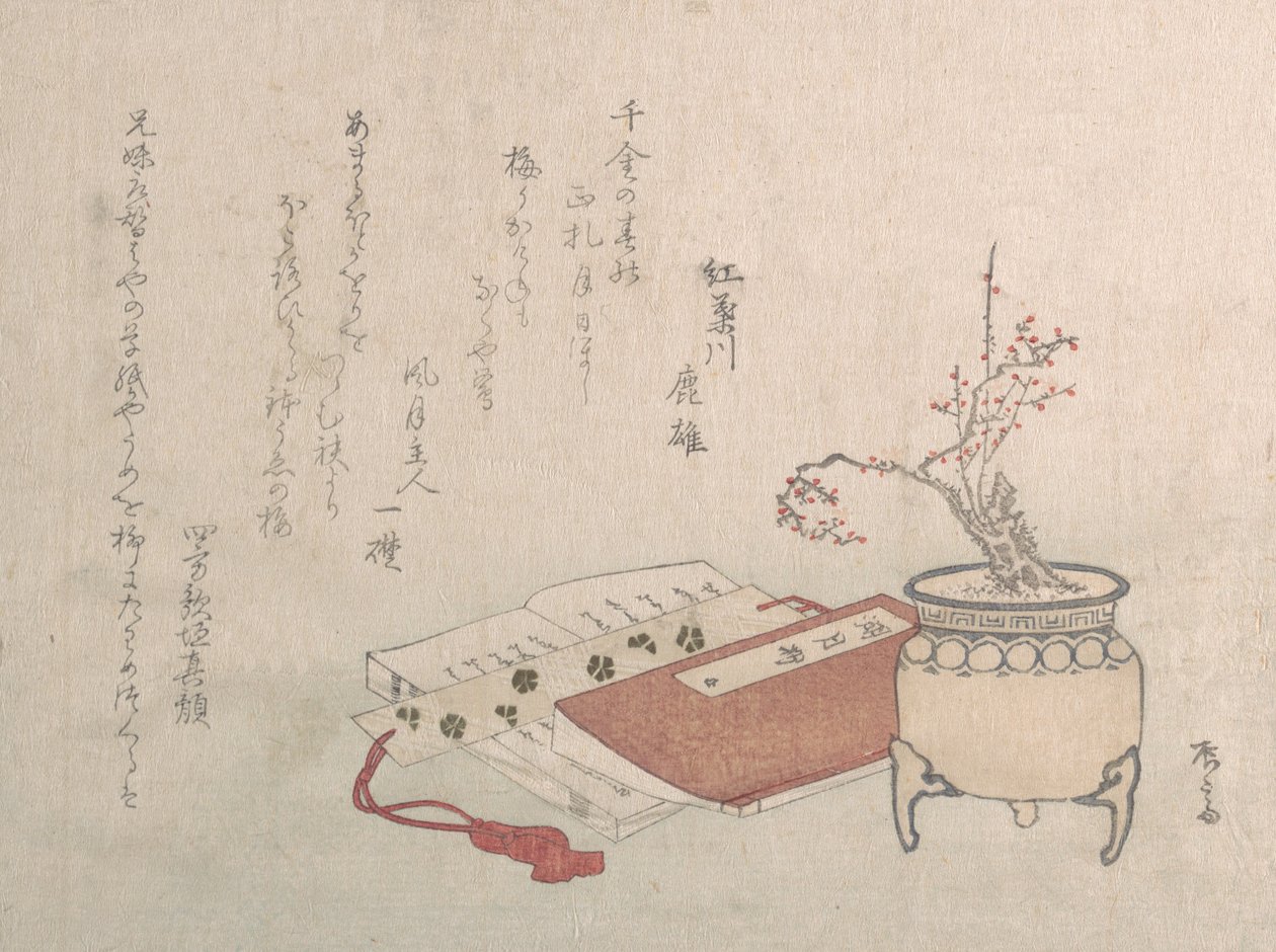 Prunier en pot en fleurs et livres - Shinsai
