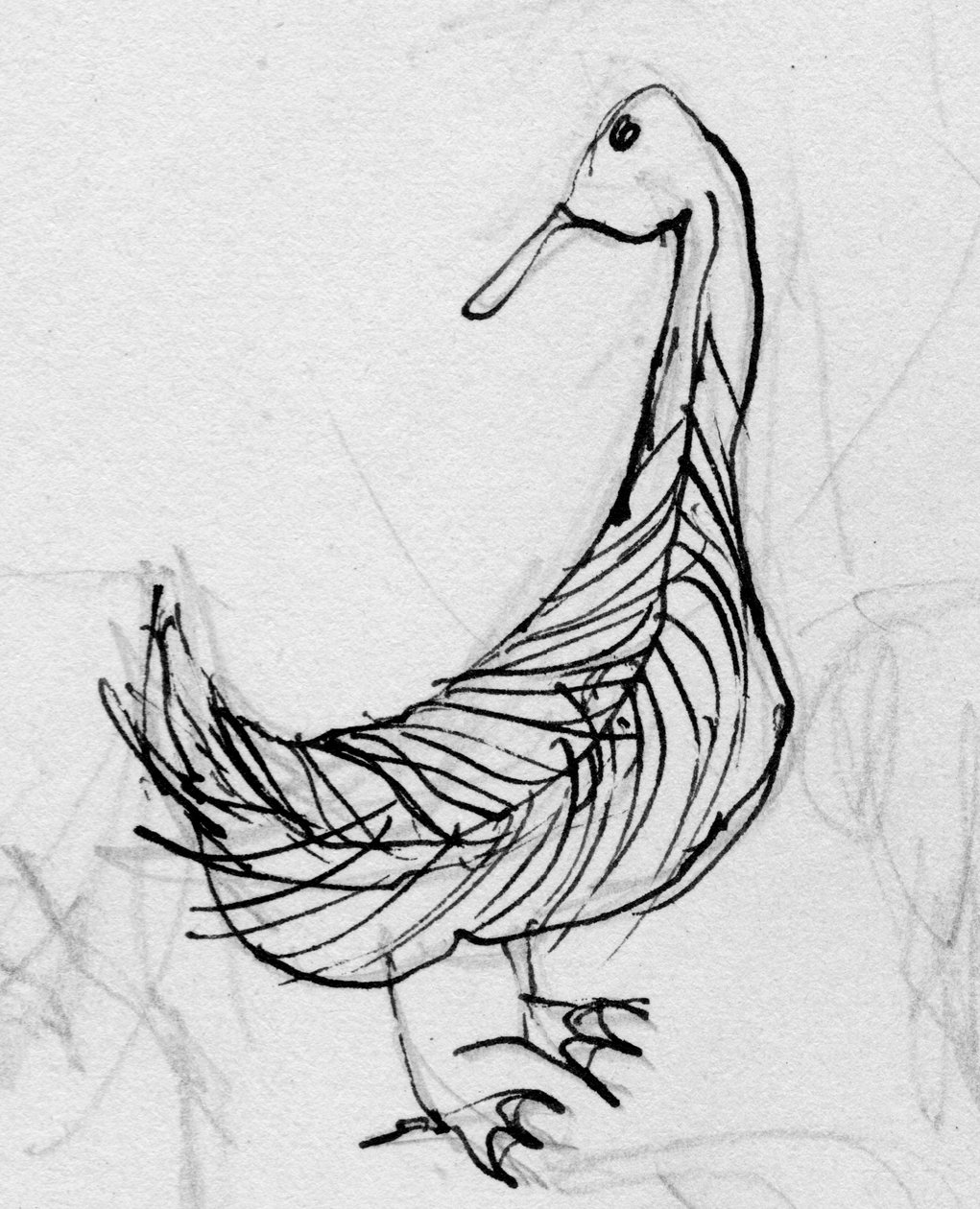 Oiseau, vers 1950 - Shirley Markham