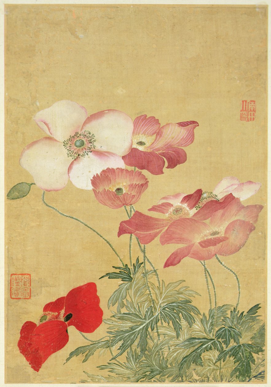 Image de l