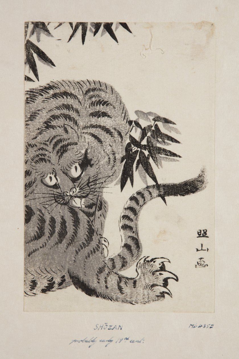 Tigre (estampe sur bois en couleur) - Shozan Shozan