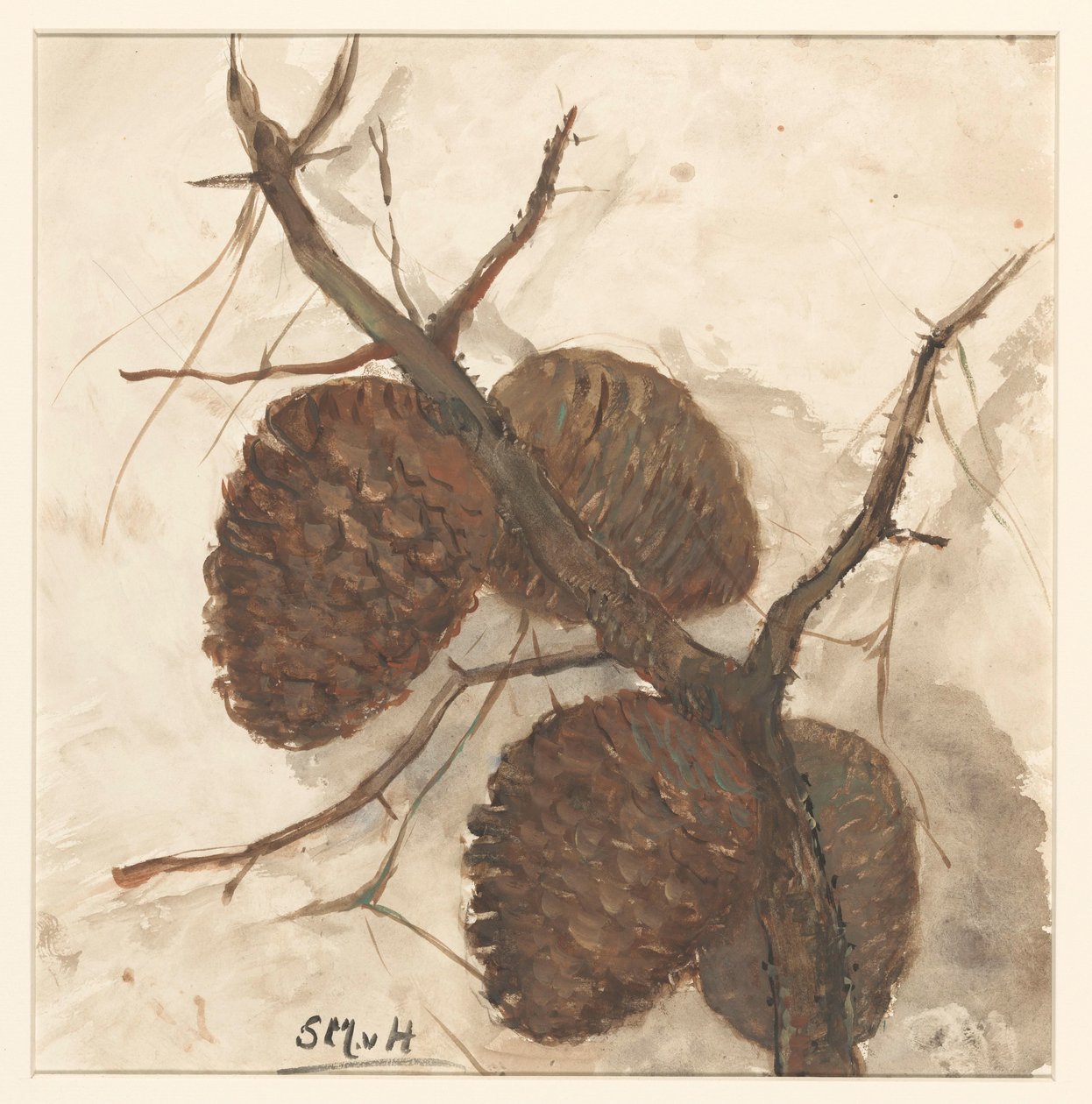 Pommes de pin sur une branche - Sientje Mesdag van Houten