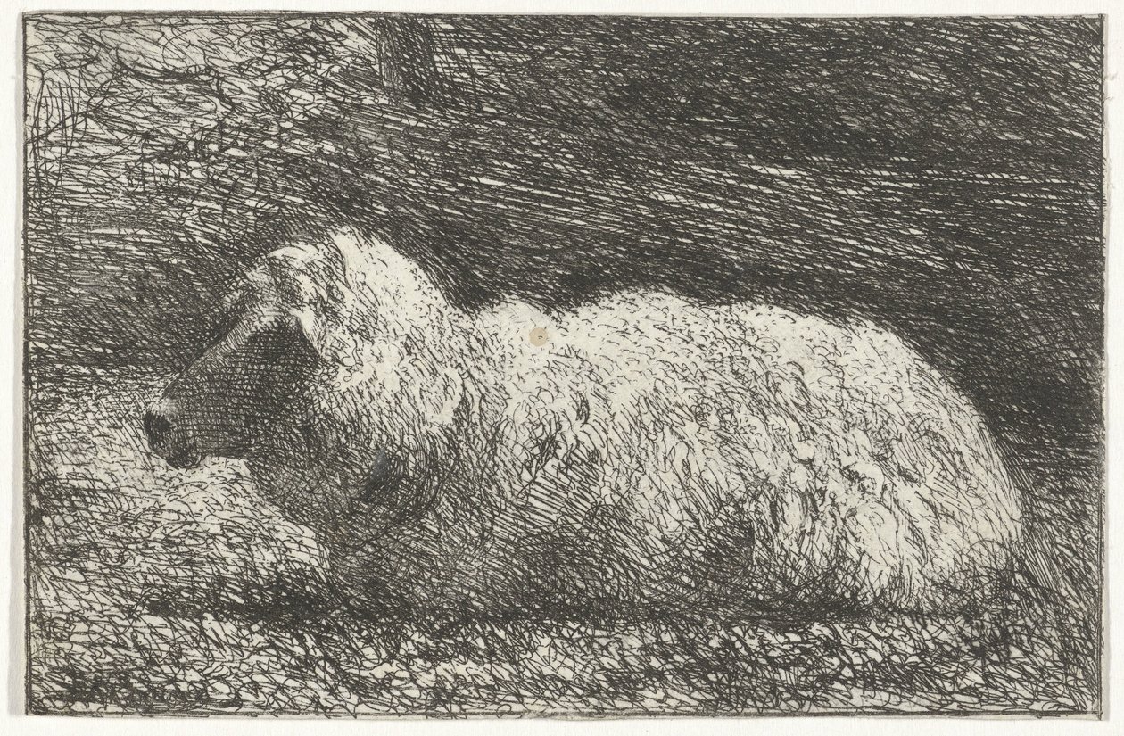 Mouton couché - Simon Andreas Krausz