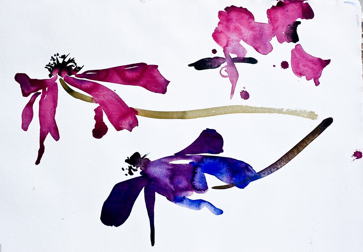 Anémones (aquarelle sur papier) - Simon Fletcher