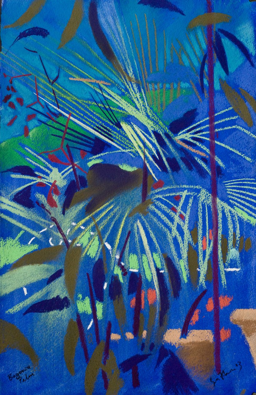 Begonia Palm (pastel sur papier) - Simon Fletcher