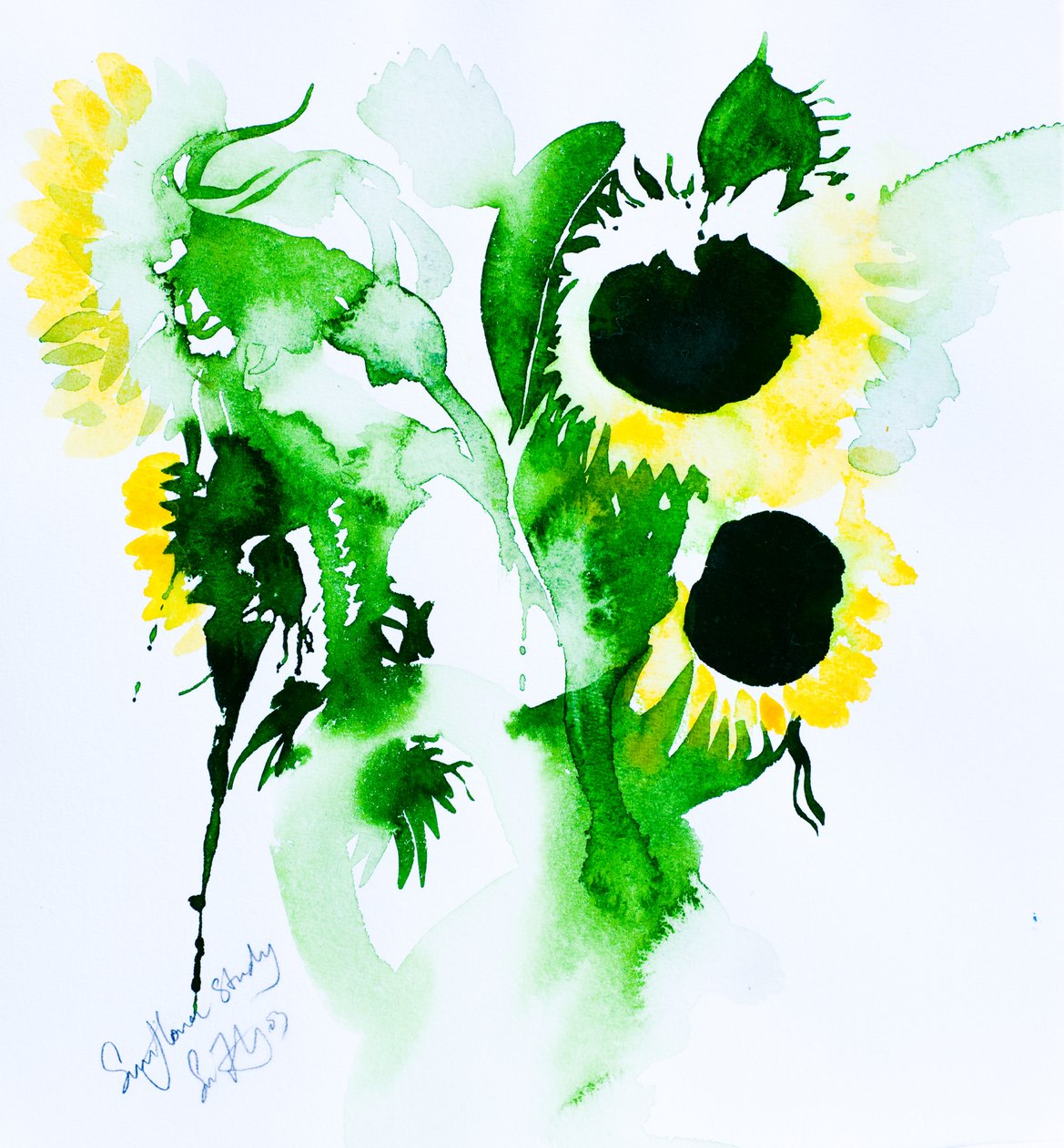 Étude de tournesol (aquarelle sur papier) - Simon Fletcher