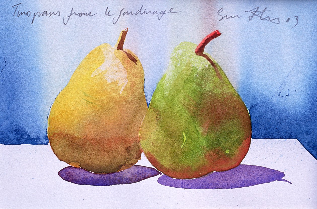 Deux poires du jardinage, 2003 (aquarelle sur papier) - Simon Fletcher