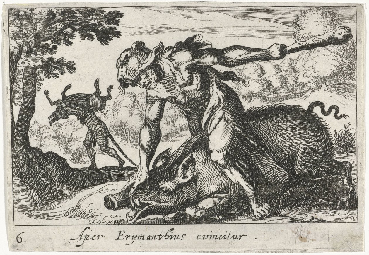 Hercule capture le sanglier d