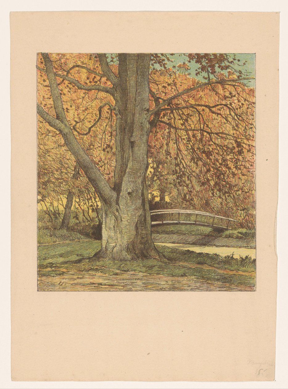 Arbre près d