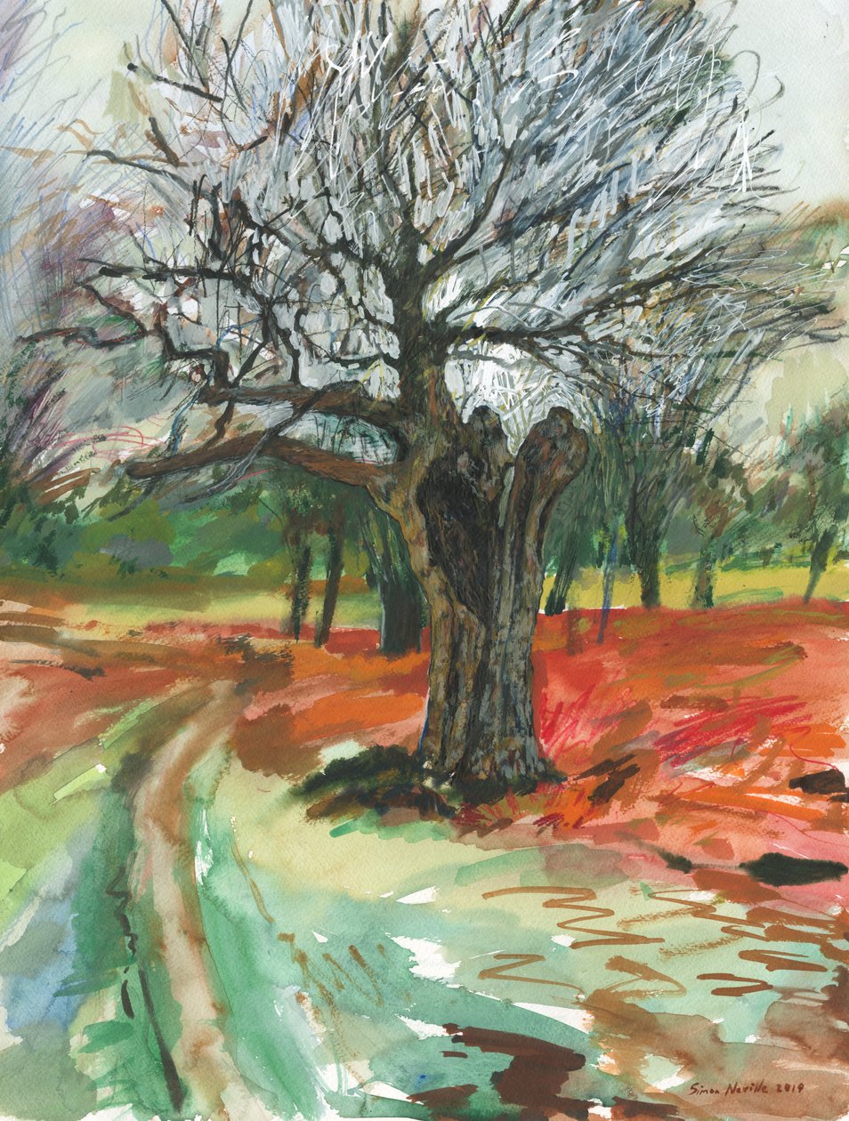 Vieil arbre, Richmond Park, 2019 - Simon Neville