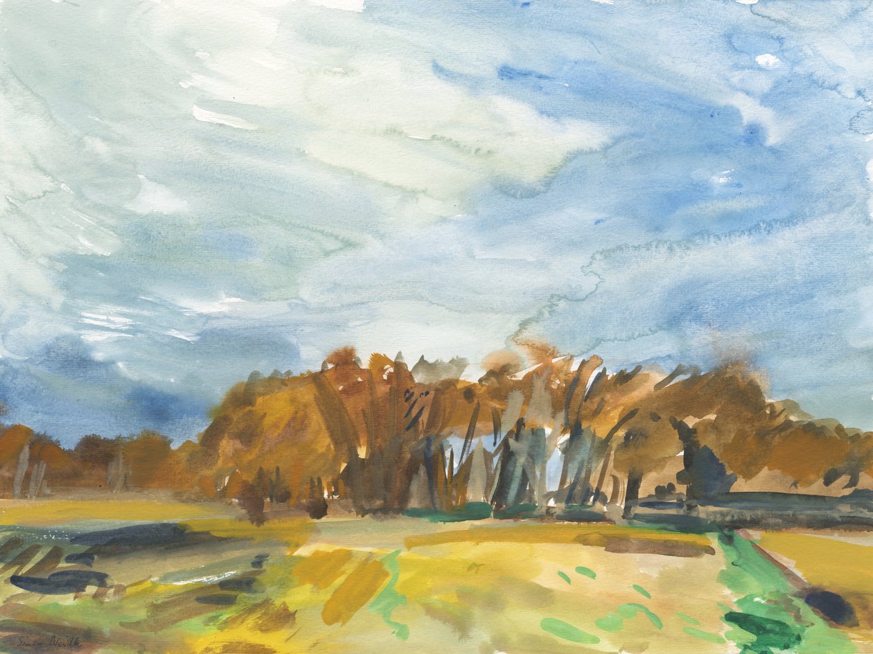 Richmond Park, 2018 (aquarelle sur papier) - Simon Neville