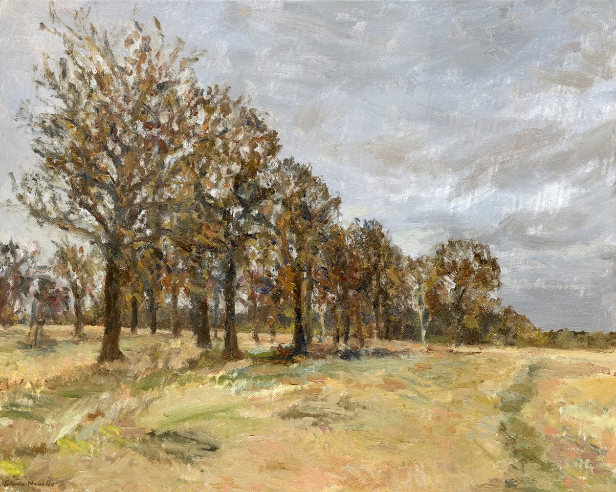 Forêt, Richmond Park no 6, 2022 - Simon Neville